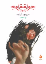 کتاب جوانی بدون جوانی نشر ماهی