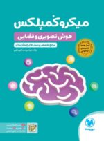 میکرو کمپلکس هوش تصویری و فضایی مهروماه