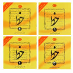 خط چهار جلدی سید مرتضی گرمارودی دلیل ما
