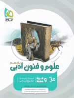 علوم و فنون ادبی یازدهم میکرو گاج